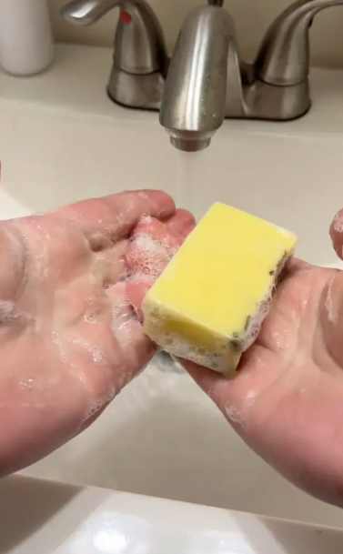 Turning Body Fat into Soap: Connecticut Man’s Extreme Recycling Project Draws Mixed Reactions