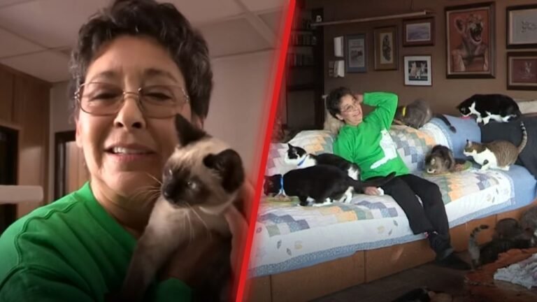 The Woman Who Shares Her Home with 1,100 Cats and a Heart Full of Love