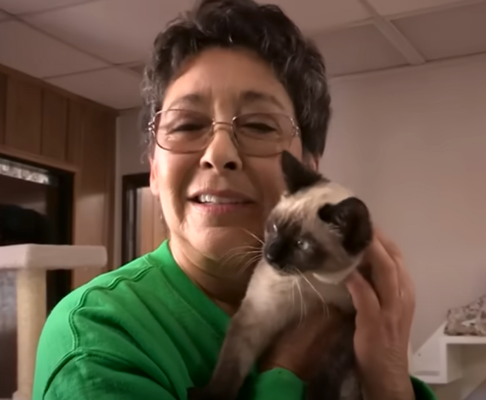 The Woman Who Shares Her Home with 1,100 Cats and a Heart Full of Love