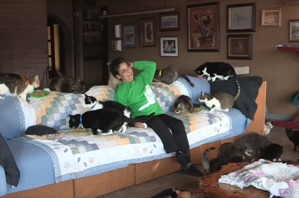 Lynea Lattanzio: The woman who shares her home with 1,100 cats