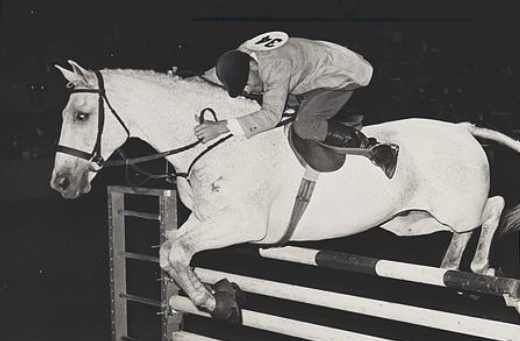 Snowman: The $80 slaughter truck horse who won 2 U.S. titles in 2 years