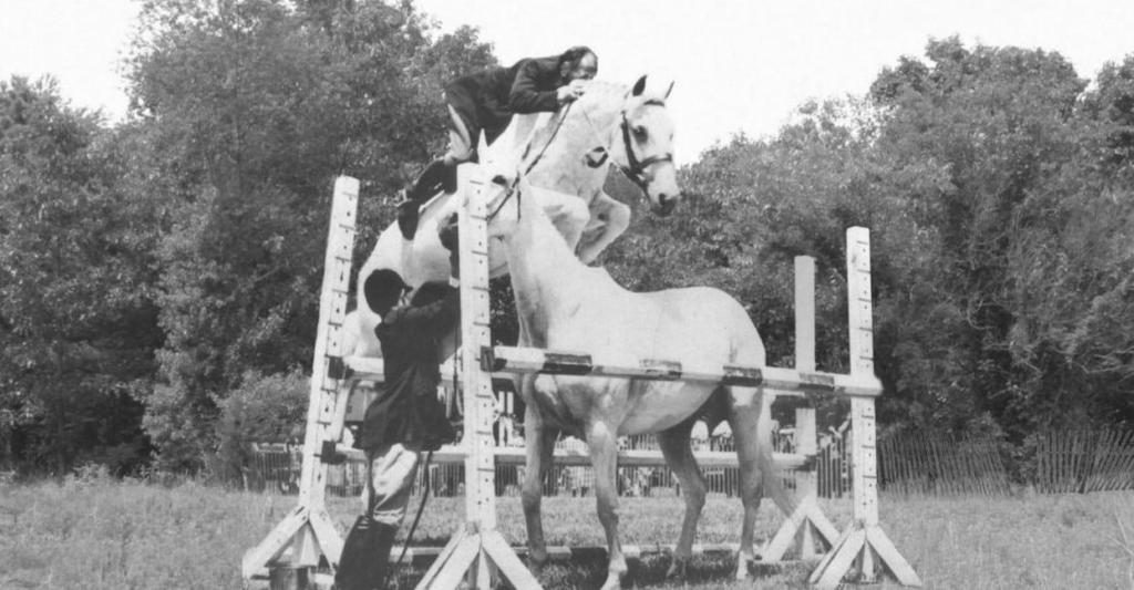 Snowman: The $80 slaughter truck horse who won 2 U.S. titles in 2 years