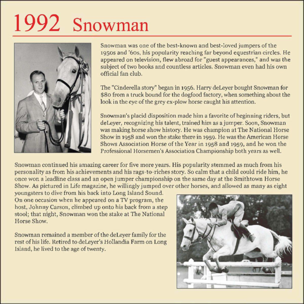 Snowman: The $80 slaughter truck horse who won 2 U.S. titles in 2 years