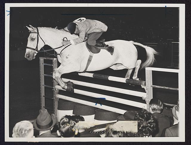Snowman: The $80 slaughter truck horse who won 2 U.S. titles in 2 years