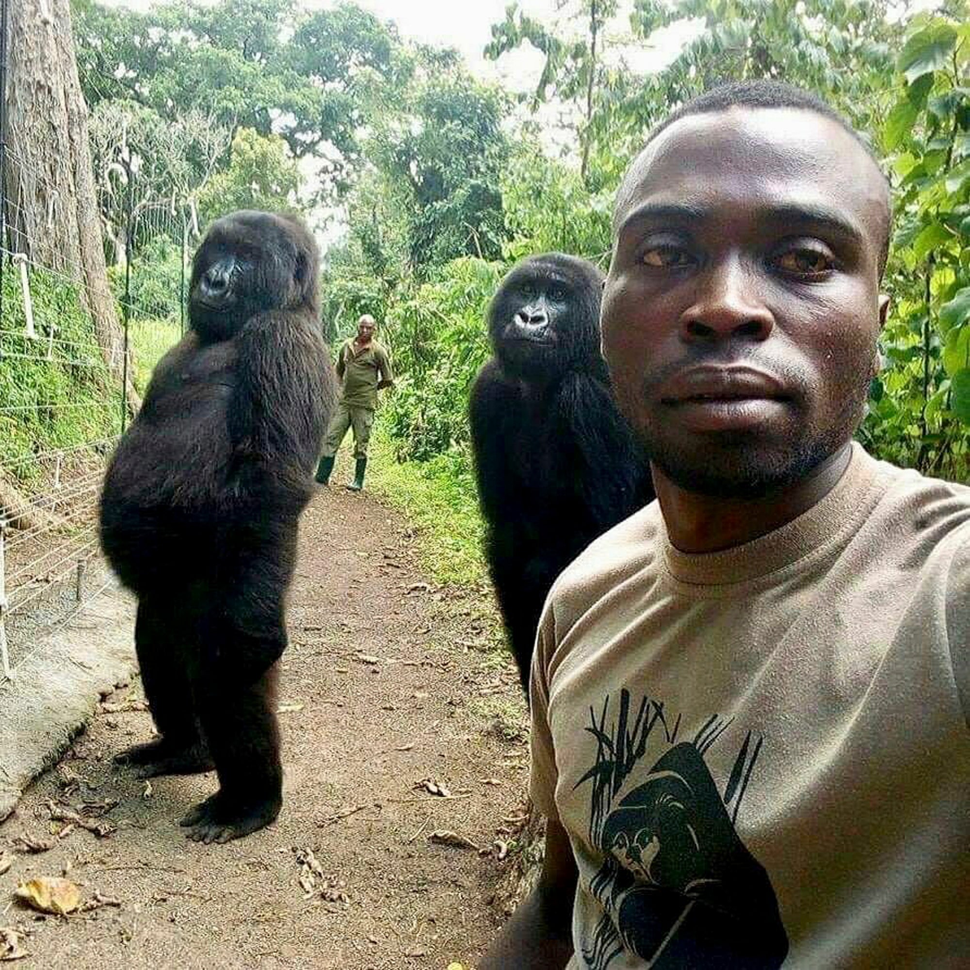 Ranger Mathieu Shamavu taking a selfie with Ndakasi and Ndeze standing behind him